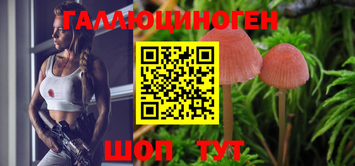 Псилоцибиновые грибы Psilocybe Алушта